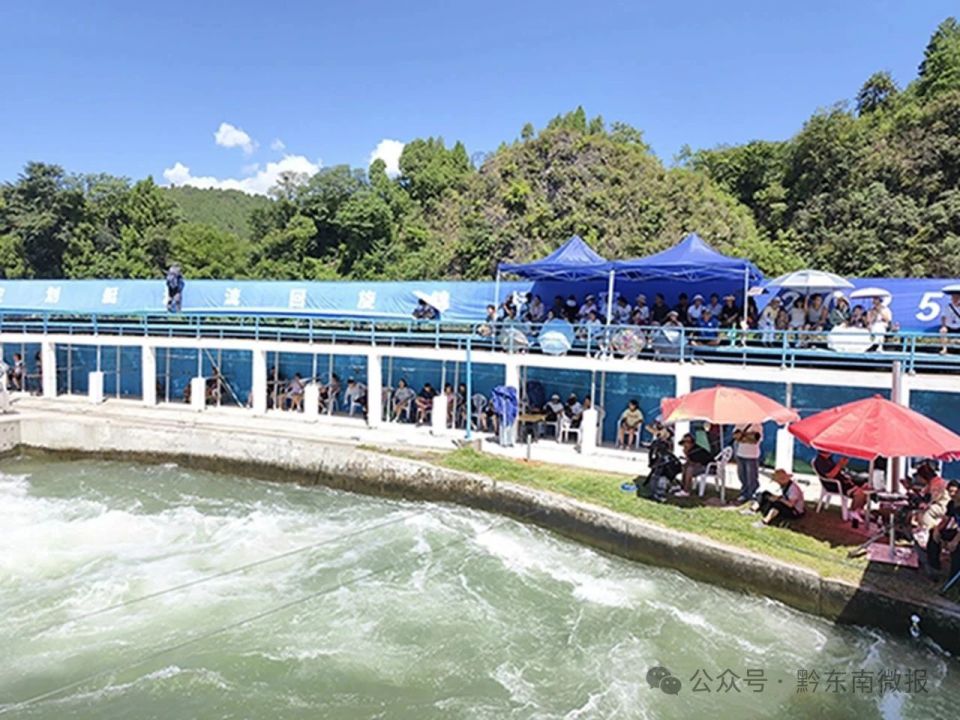 src, 为观众们带, yLecU